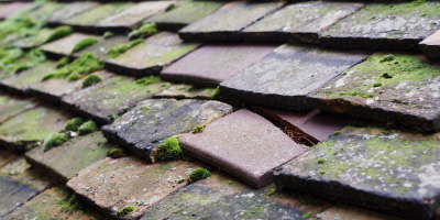 Roxwell roof repair costs